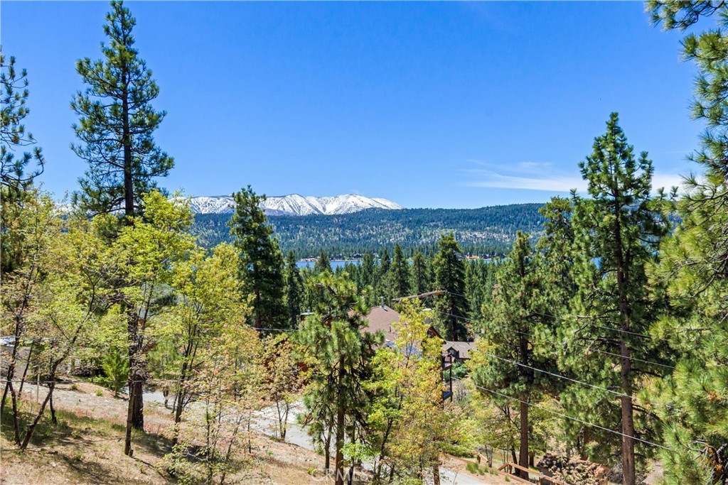 39576 Oak Glen Road Property Photo 5