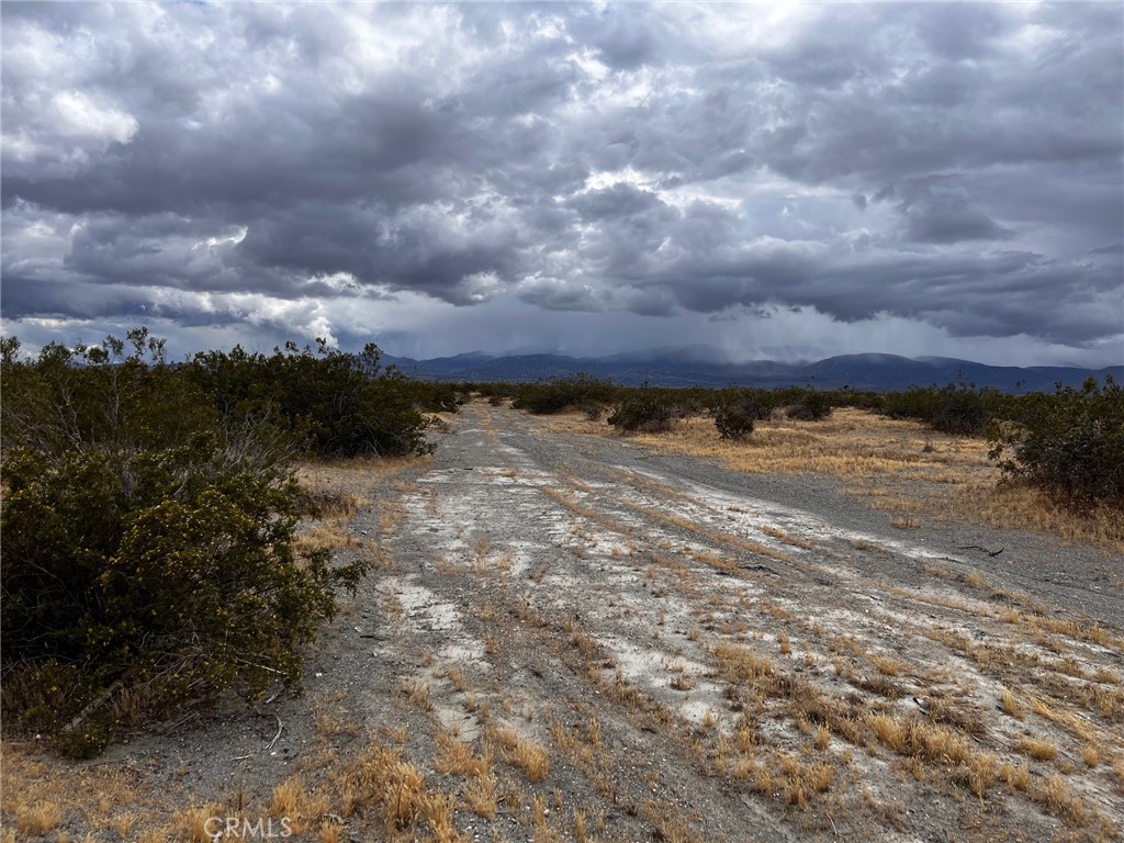 0 Cactus Road Property Photo 4