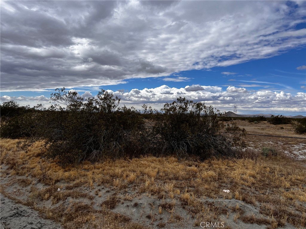 0 Cactus Road Property Photo 6