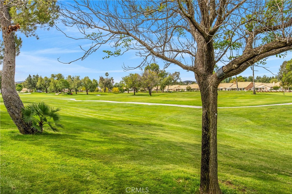 507 La Costa Property Photo 33