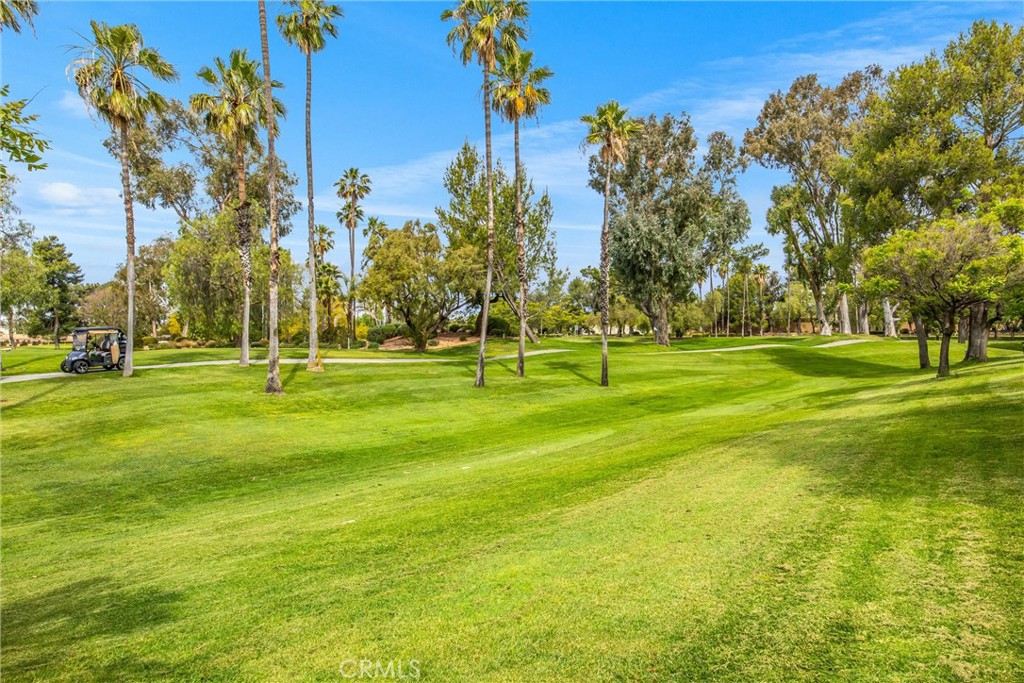 507 La Costa Property Photo 34