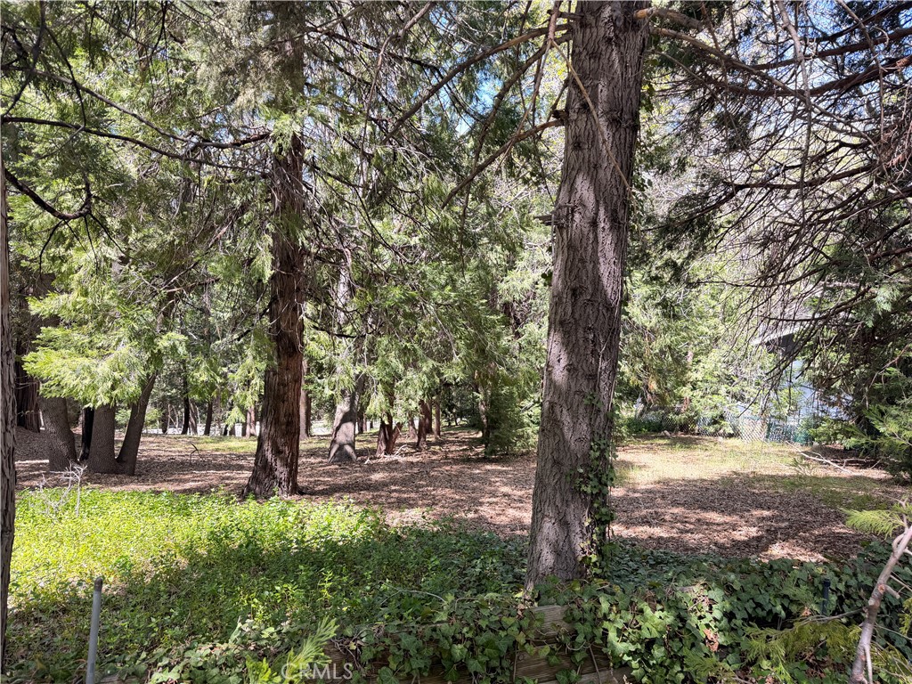 0 Cumberland Property Photo 1