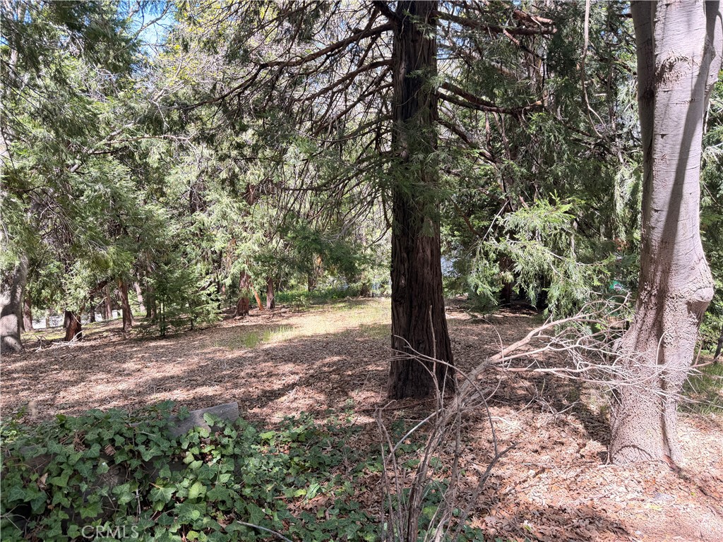 0 Cumberland Property Photo 2