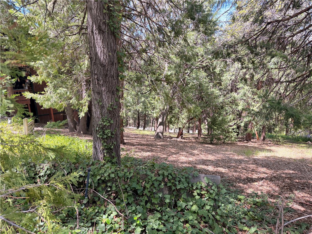0 Cumberland Property Photo 3