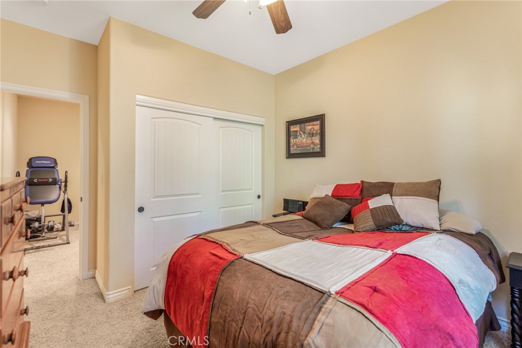 24380 Horst Property Photo 33