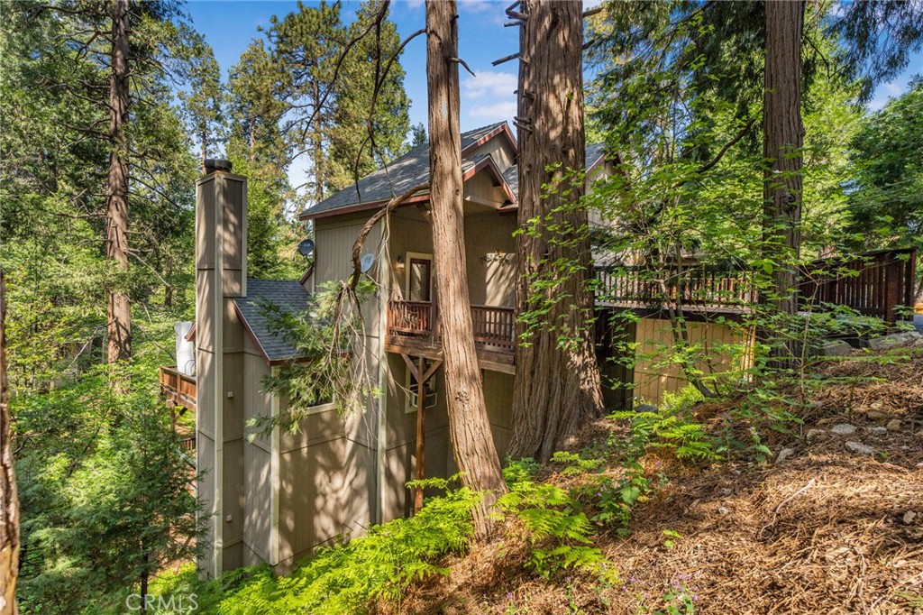 24380 Horst Property Photo 49