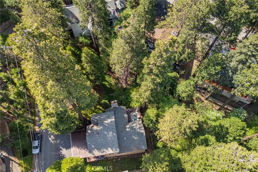 24380 Horst Property Photo 50