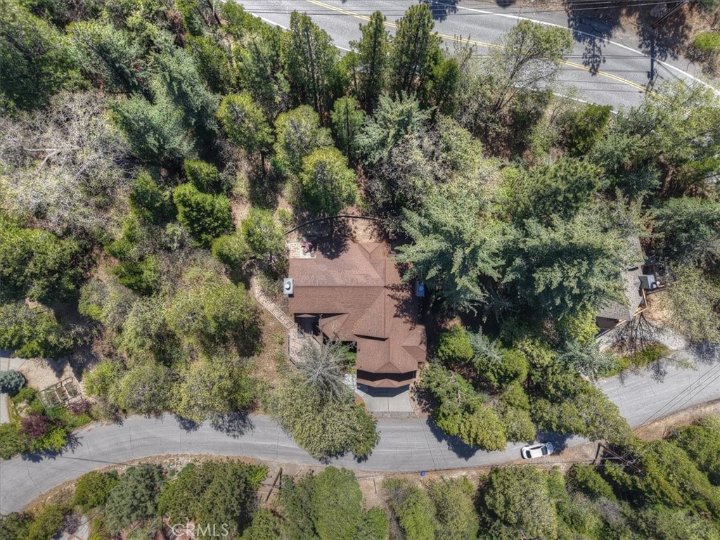 27336 Alpen Property Photo 46