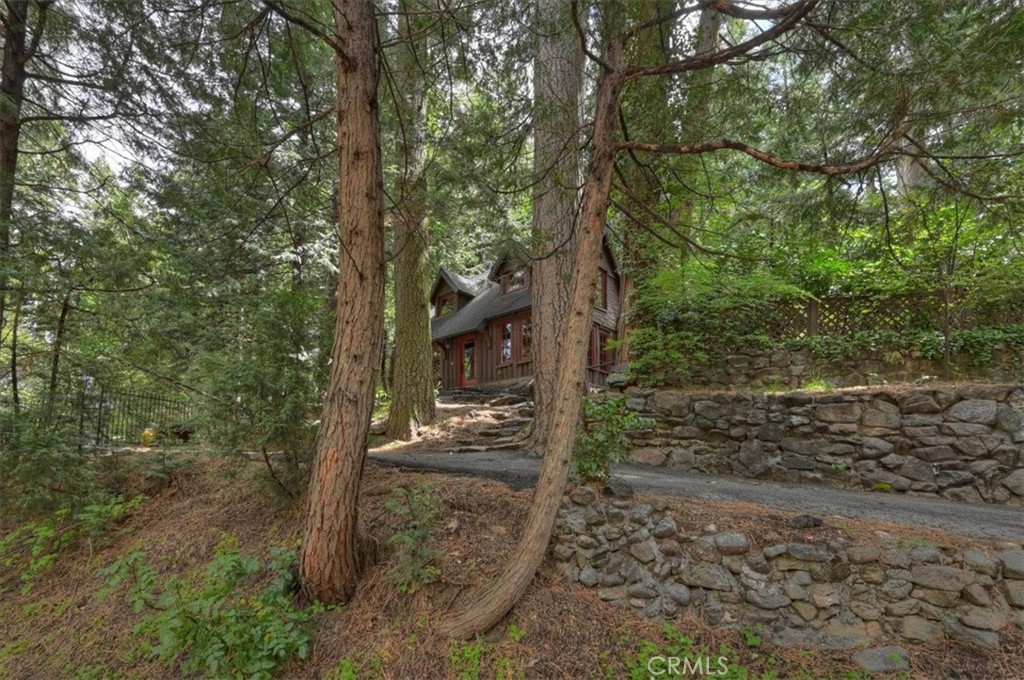 27331 State Highway 189 Property Photo 38