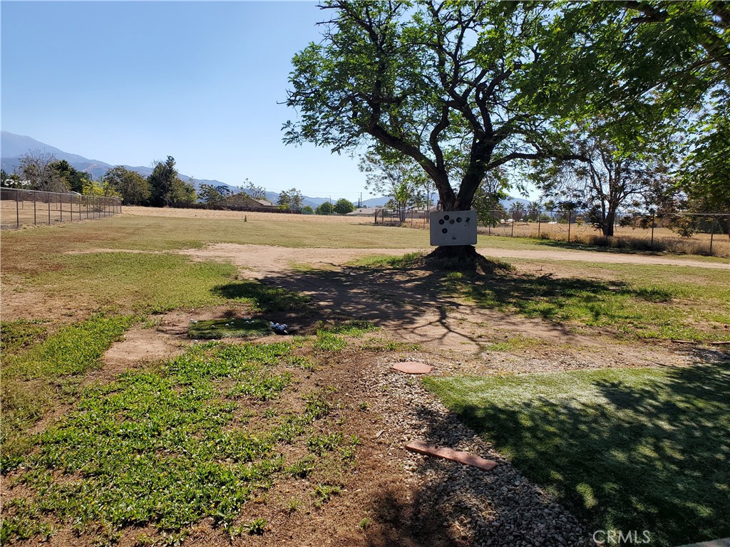 12557 5th Property Photo 17