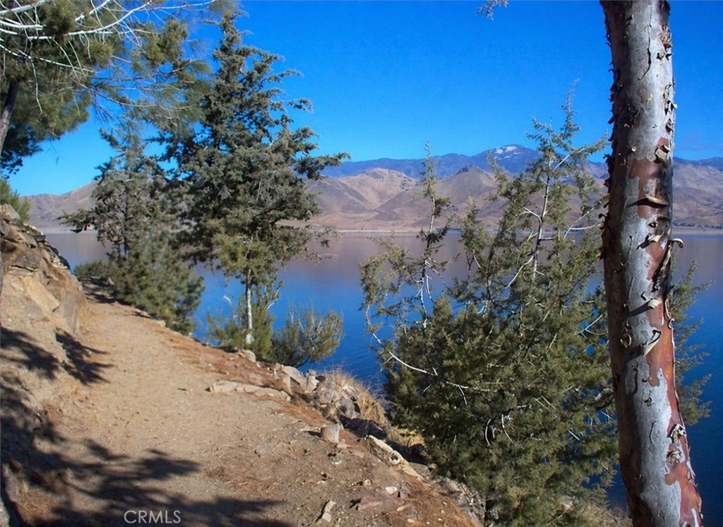 11667 Highway 178 Property Photo 20