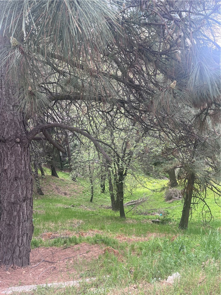 0 Jewel Property Photo 1