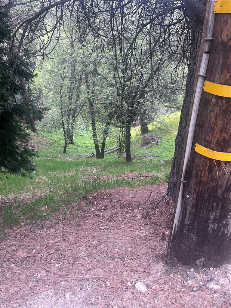 0 Jewel Property Photo 2