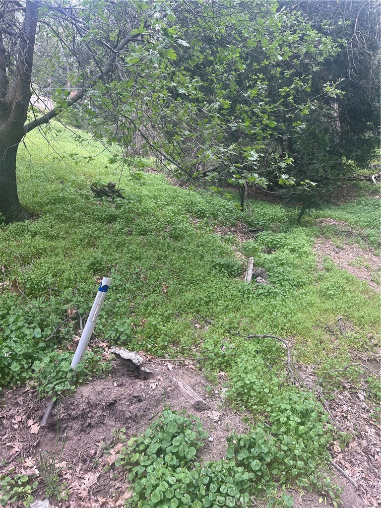 0 Jewel Property Photo 4