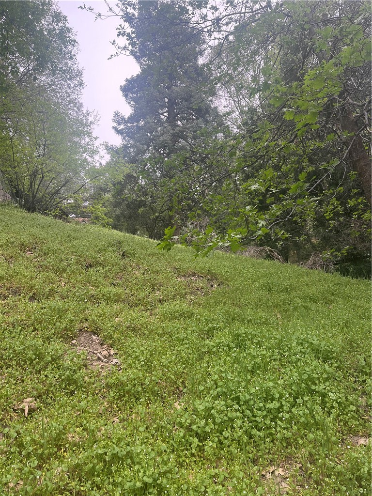0 Jewel Property Photo 5