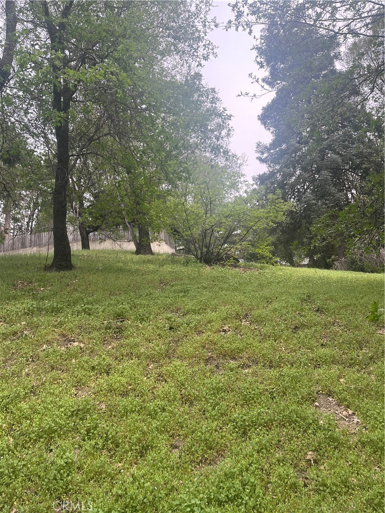 0 Jewel Property Photo 6