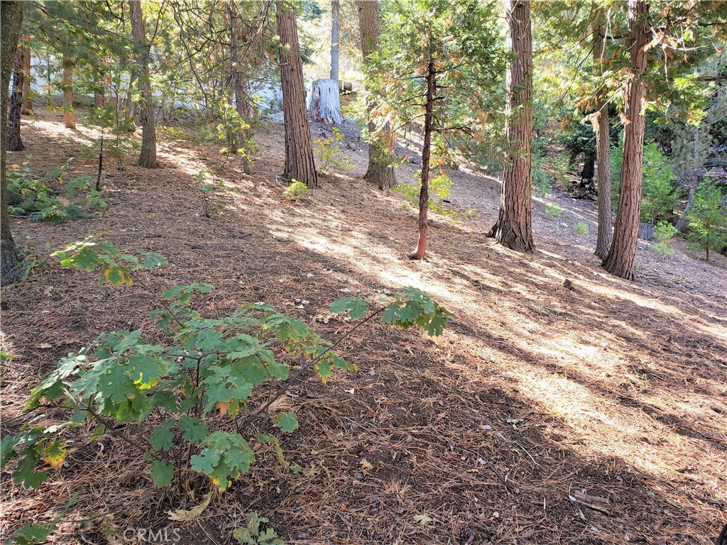 330 Castle Gate Road Property Photo 8