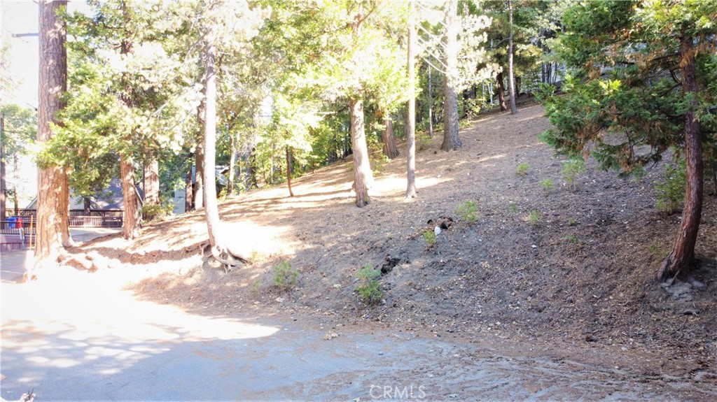 330 Castle Gate Road Property Photo 11