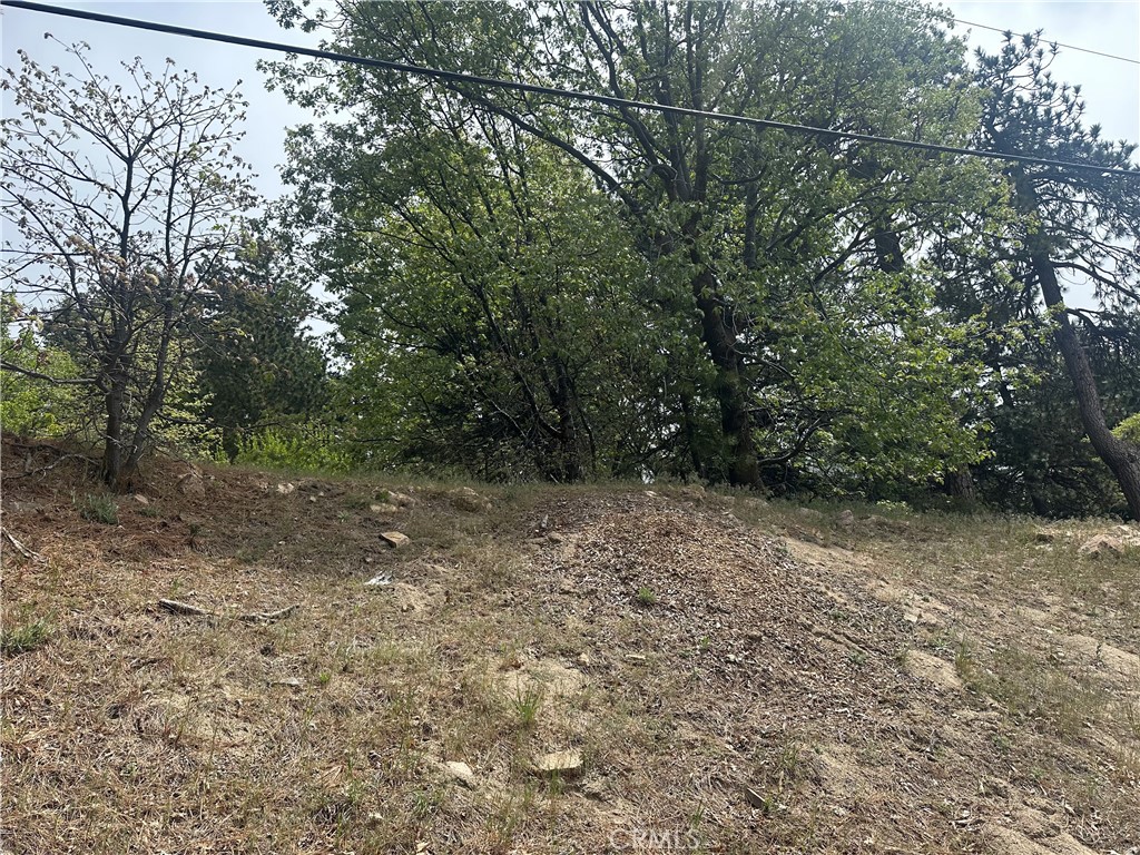 0 Deer Lick Lane Property Photo 1