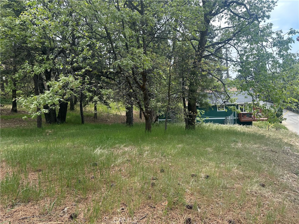 0 Deer Lick Lane Property Photo 2