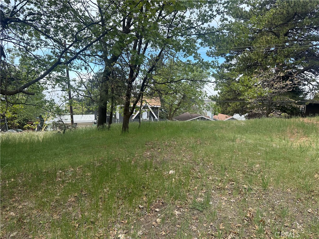0 Deer Lick Lane Property Photo 3