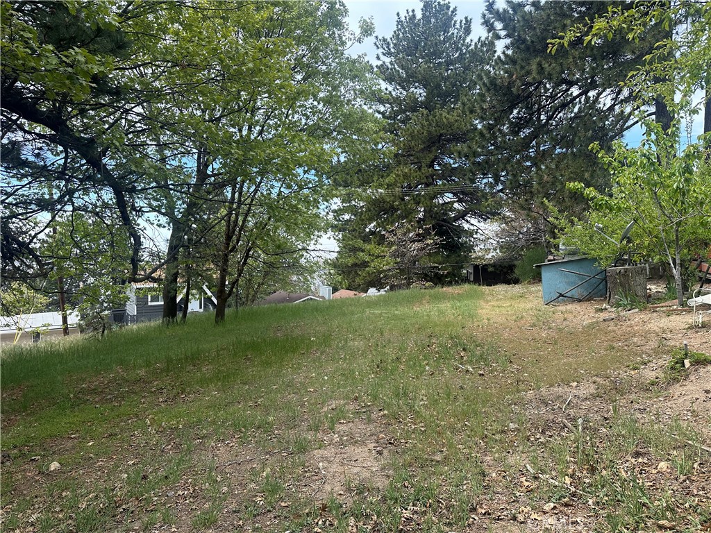 0 Deer Lick Lane Property Photo 4