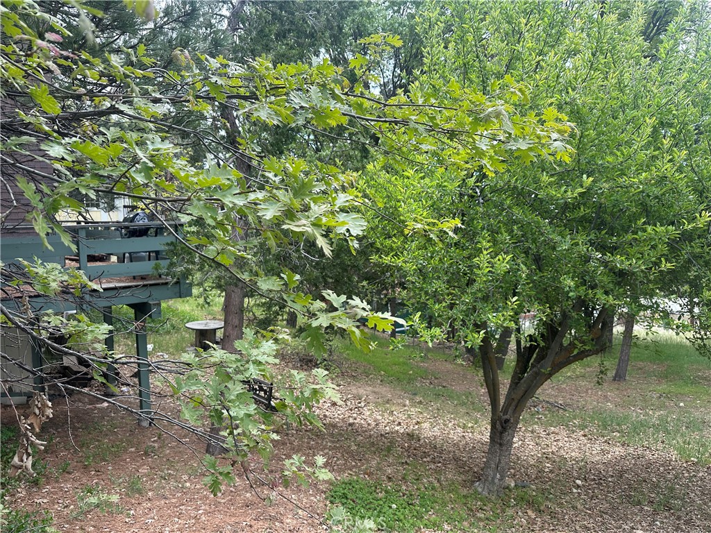 0 Deer Lick Lane Property Photo 6