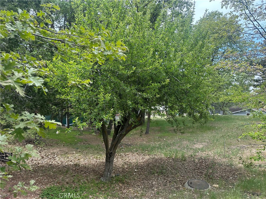 0 Deer Lick Lane Property Photo 7