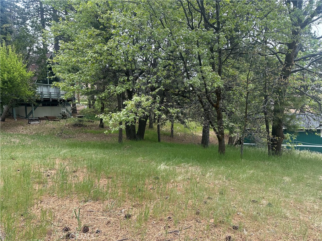 0 Deer Lick Lane Property Photo 8