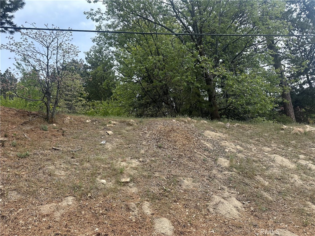 0 Deer Lick Lane Property Photo 9