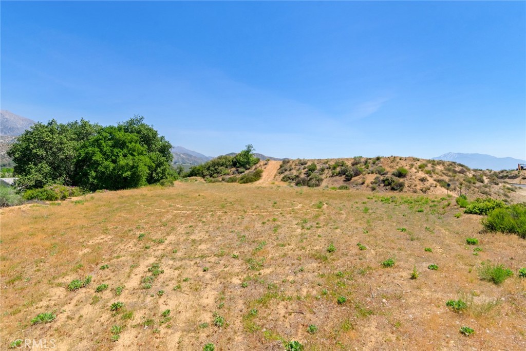 39599 Hidden Heights Drive Property Photo 6