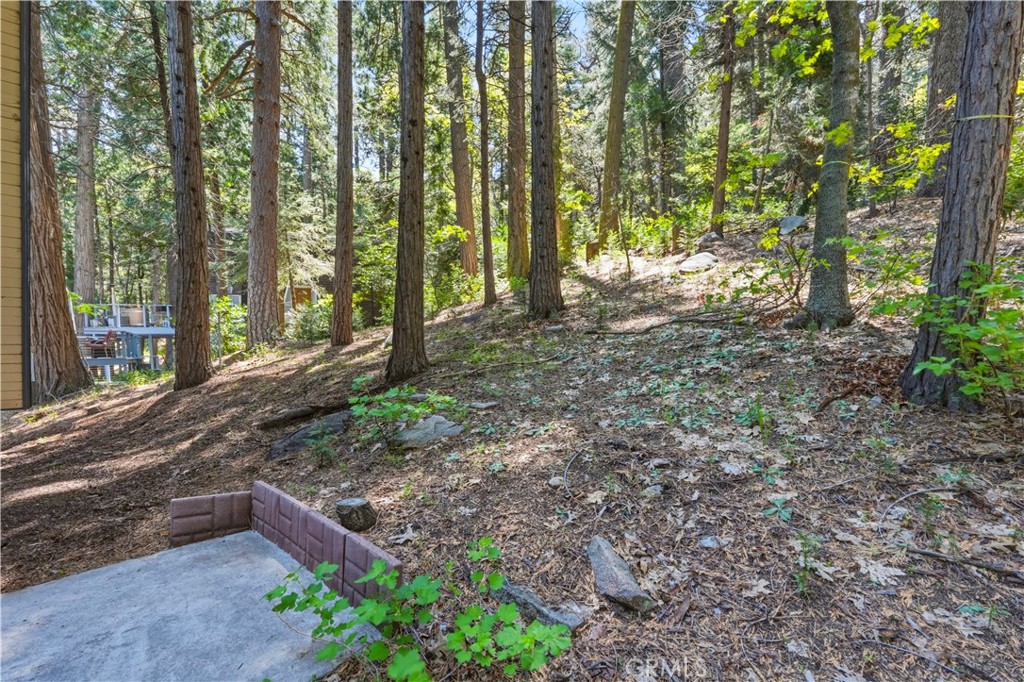 24091 Lakeview Property Photo 31