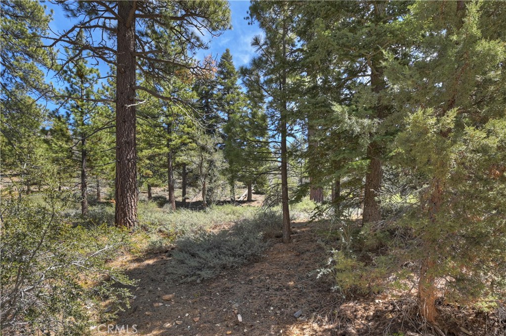 1099 Canyon Property Photo 5