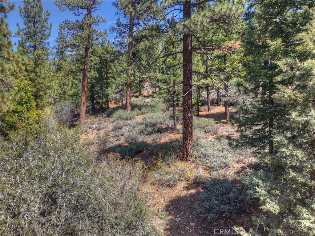 1099 Canyon Property Photo 26