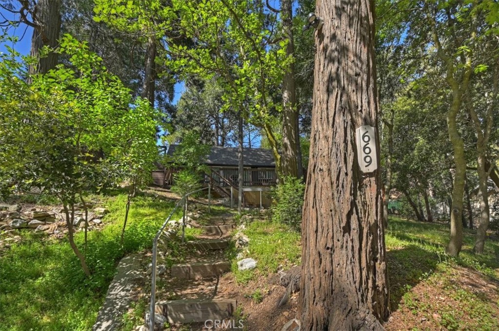 669 Knoll Property Photo 13