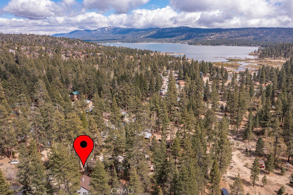 39075 Rim Of The World Property Photo 13