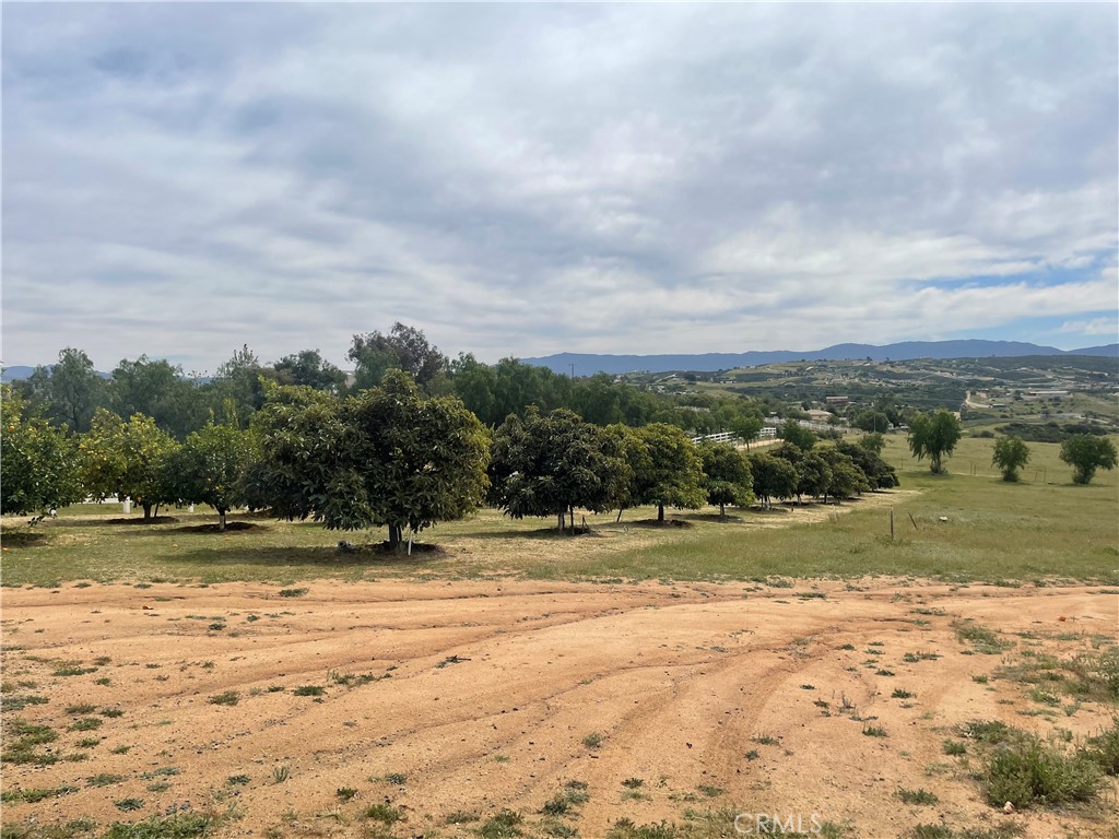38687 Calle Segovia Property Photo 12