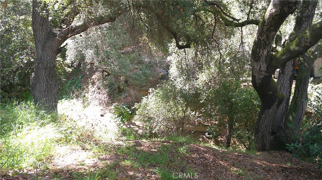1003 Carbon Canyon Property Photo 4