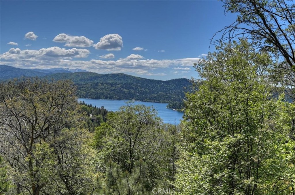 1137 Nadelhorn Property Photo 25