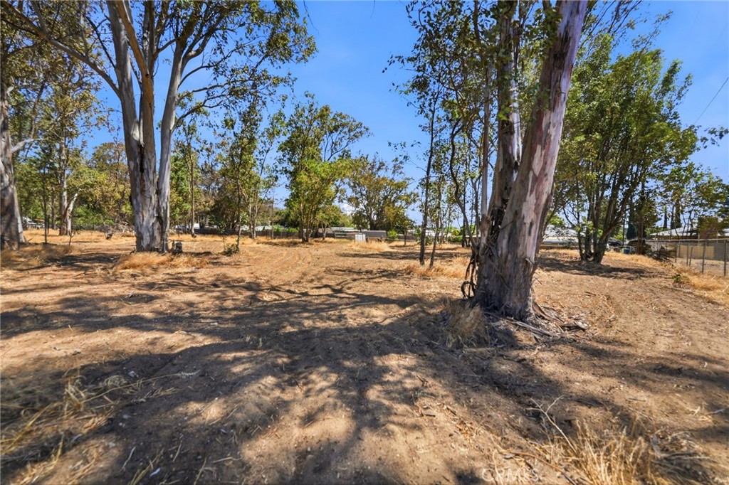 0 N Woodland Avenue Property Photo 10