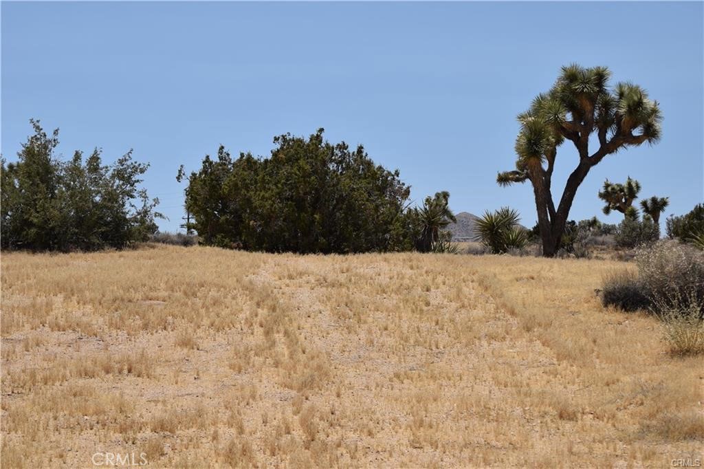 0 Palomar Property Photo 7