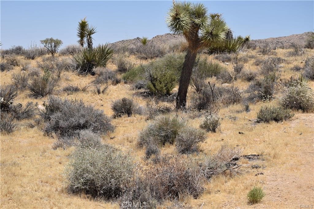 0 Palomar Property Photo 8