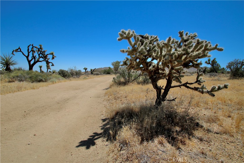 0 Palomar Property Photo 25