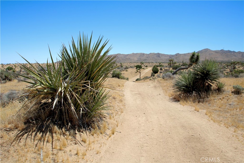 0 Palomar Property Photo 27