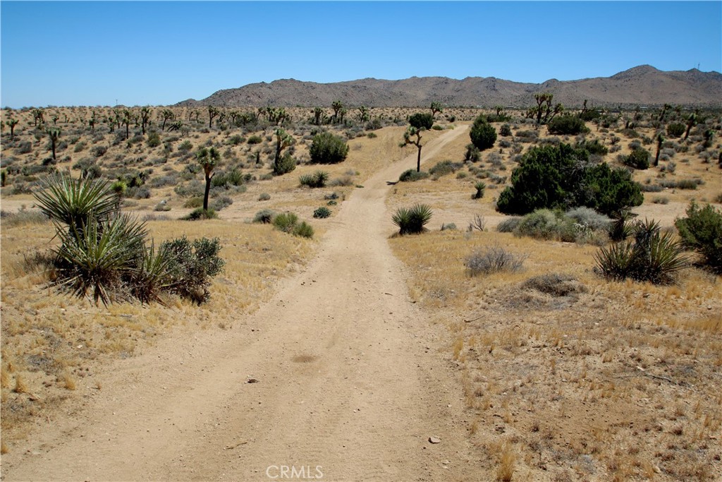 0 Palomar Property Photo 29