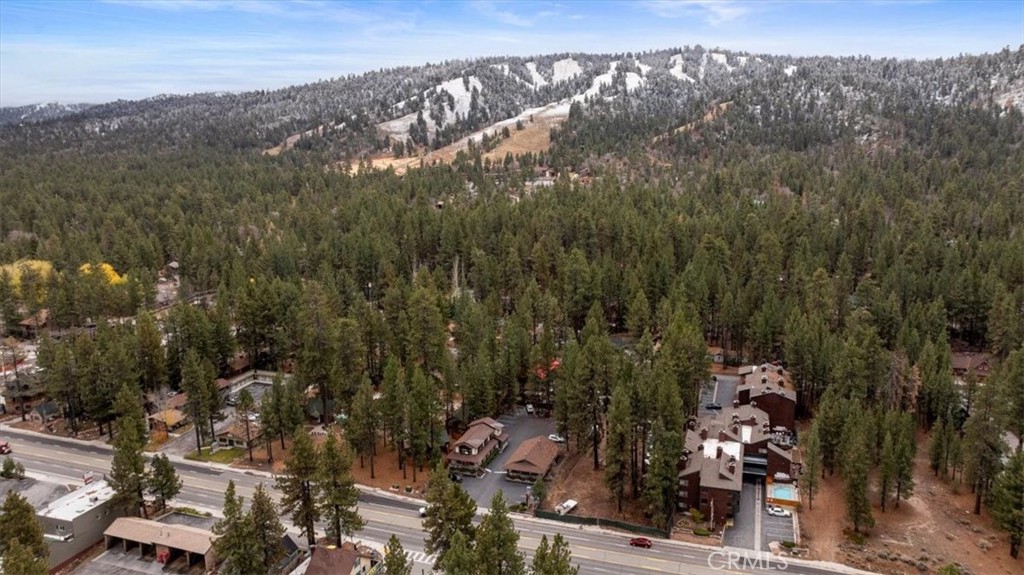 41609 Big Bear Property Photo 55