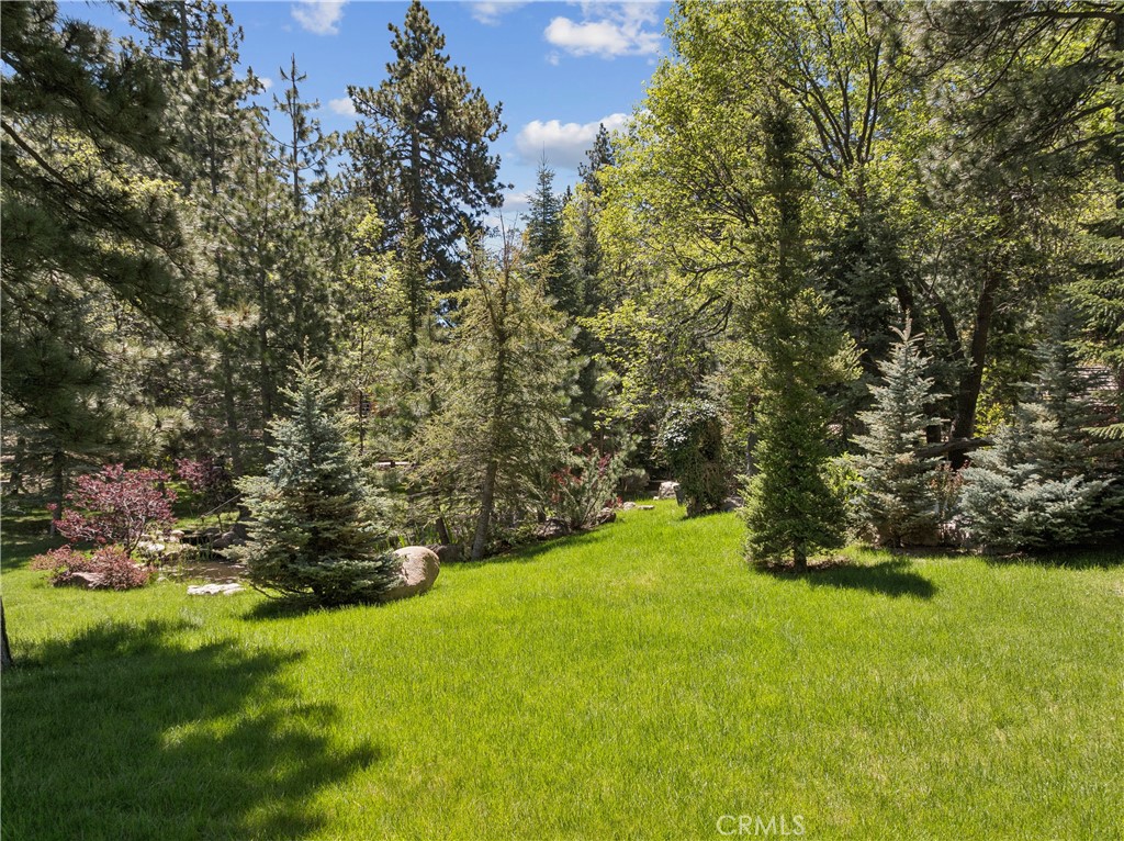 32310 Hummingbird Court Property Photo 57