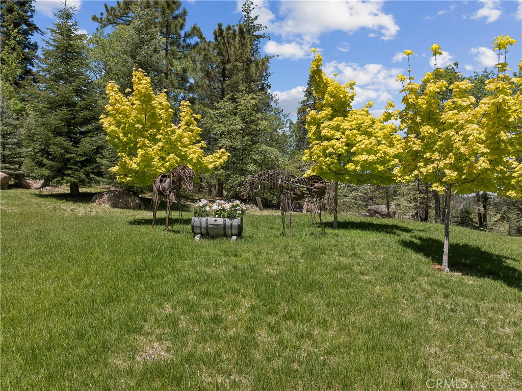 32310 Hummingbird Court Property Photo 58