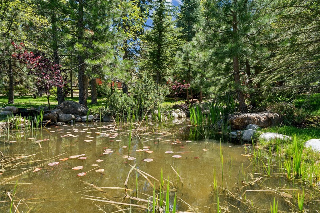 32310 Hummingbird Court Property Photo 59