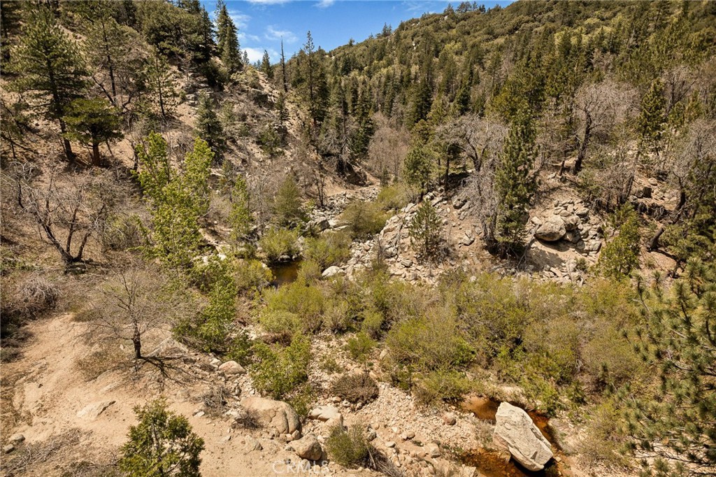 33141 Big Bear Lake Road Property Photo 9